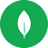 MONGODB icon